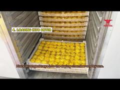Chrysanthemum Drying Site