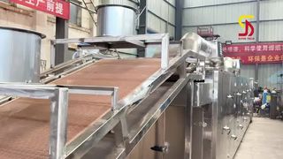 Stainless Steel Mesh Belt Dryer