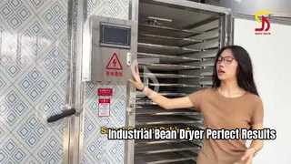 80-tray industrial drying oven