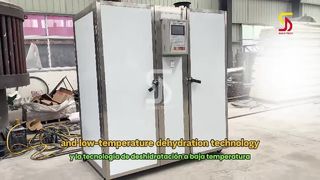 40-Tray Drying Oven